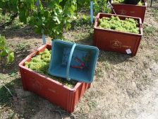 From-Pannier-to-Caisse-for-web-site