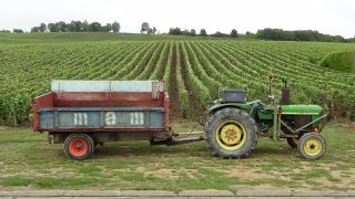Tractor parked in the vineyards