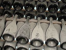 Bottles-ageing-at-Krug225