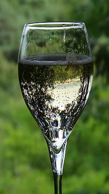 Bubbles-at-the-Perching-Bar225