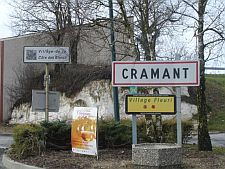 Cramant225