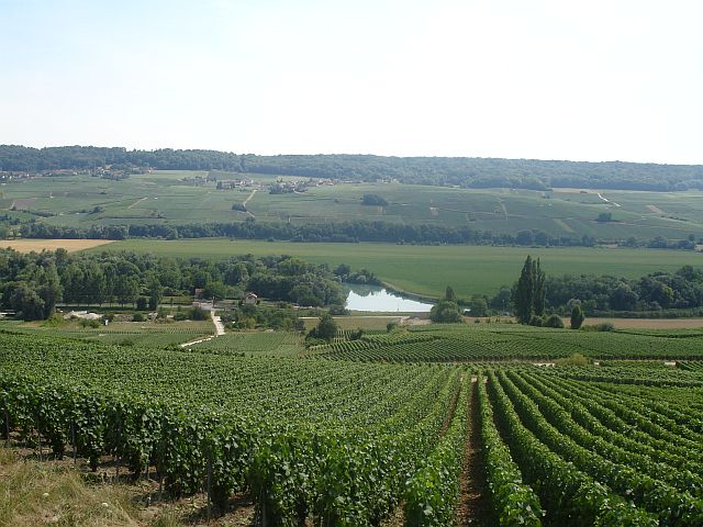 Marne Valley