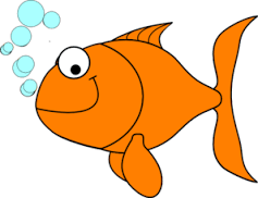 goldfish