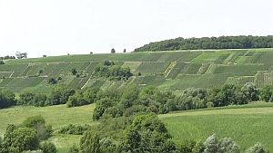 Hillsides-at-Cuisles300