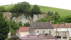 Chalk-cliff-at-Mareuil300