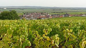 Villers-Marmery-from-above300