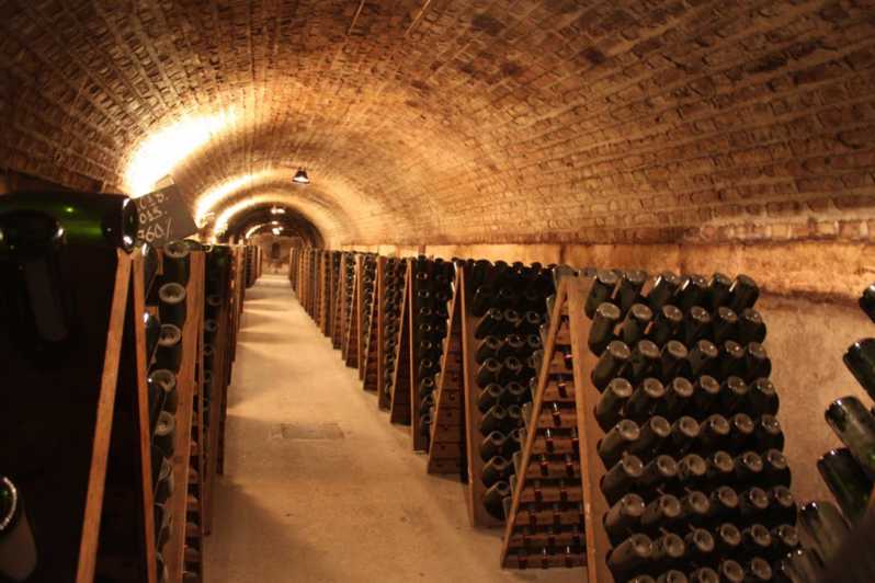 Cellars
