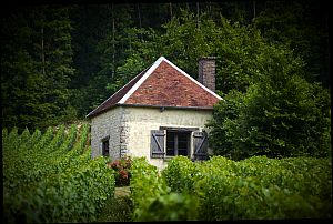 La-Douce-Folie-300