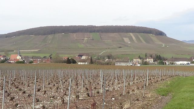 Festigny