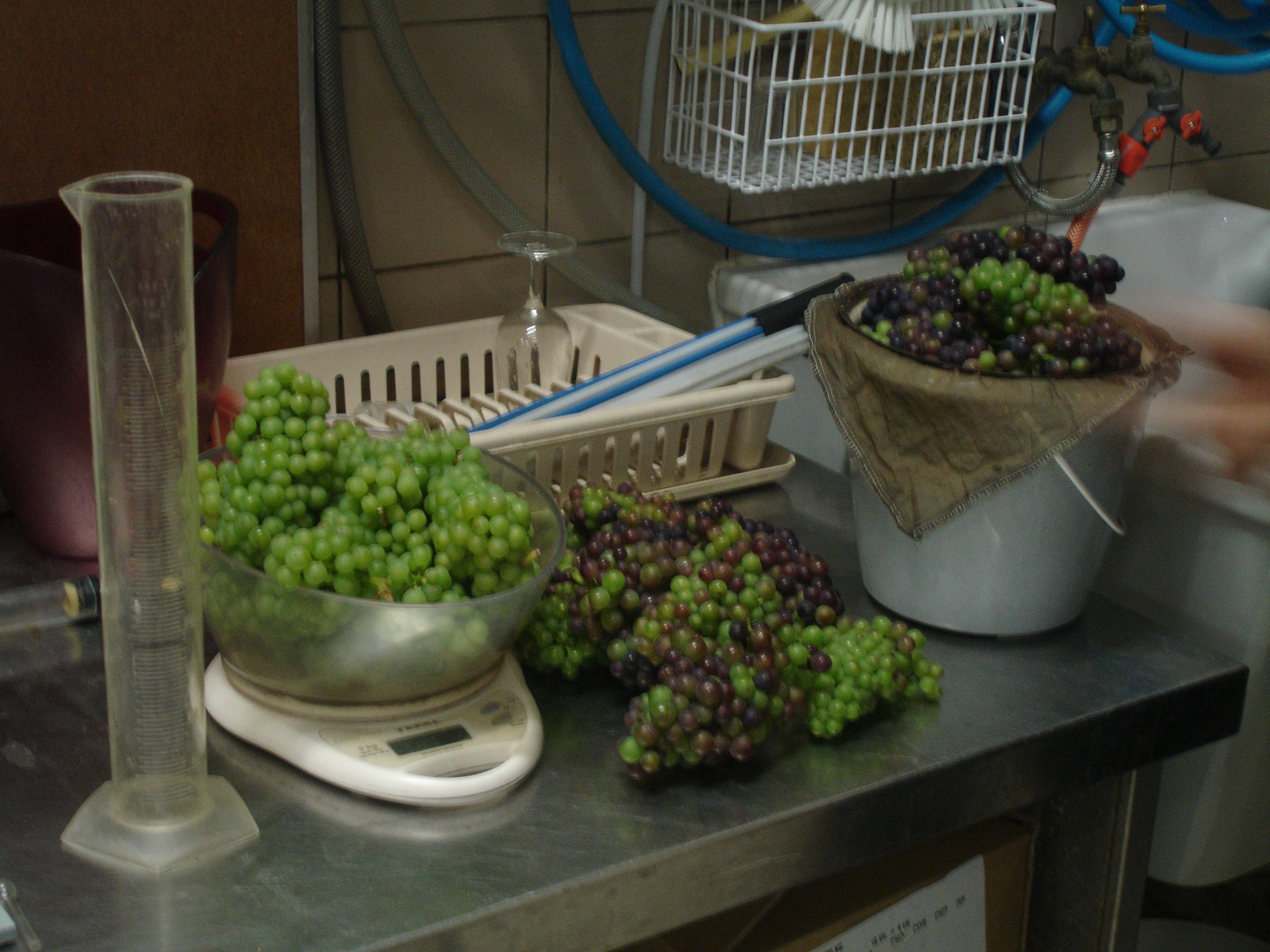 Ready to test Reseau Matu